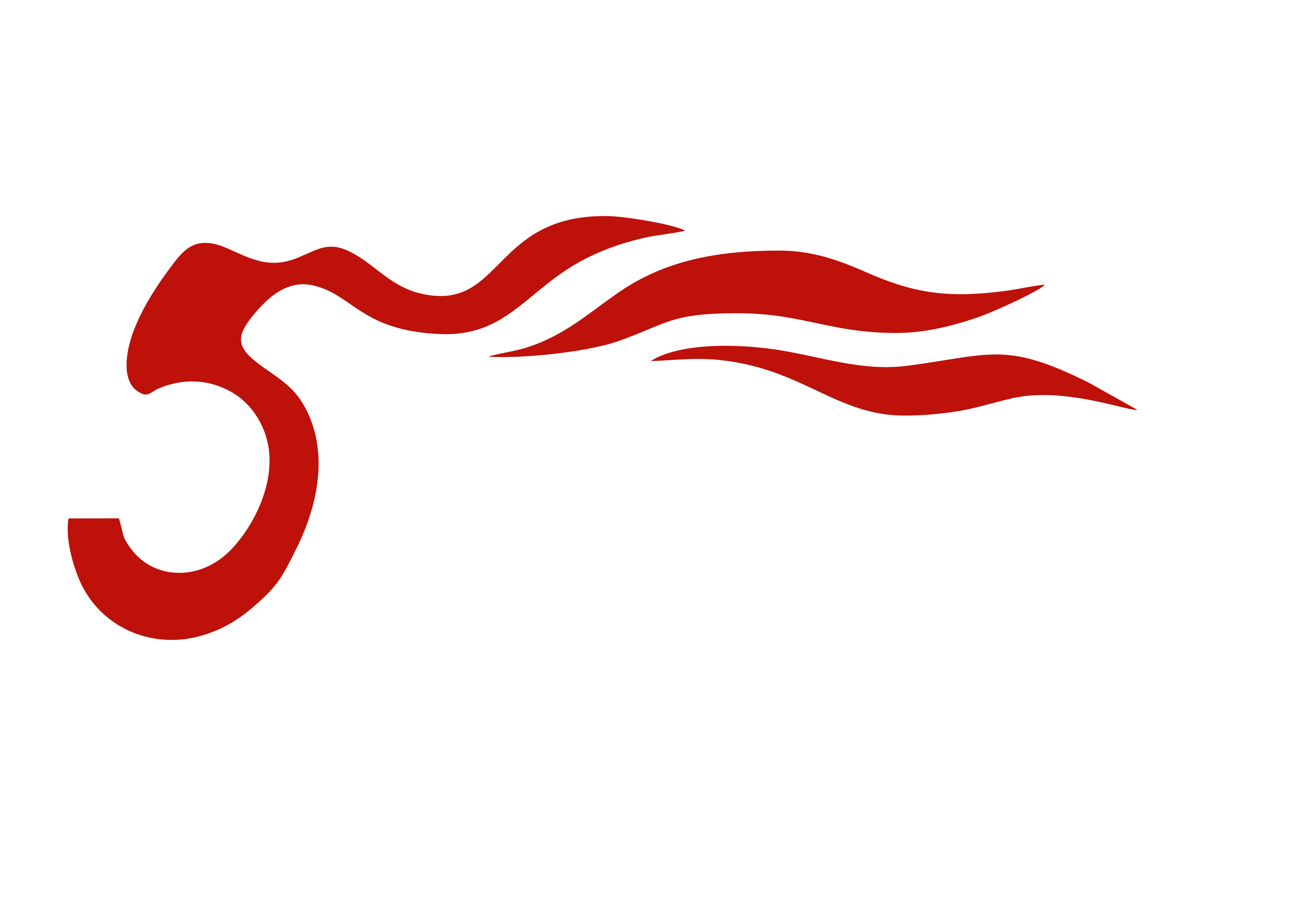 Soundking Soundking