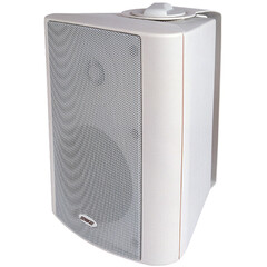 Настенный громкоговоритель DSPPA WL311W