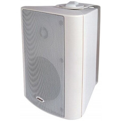 Громкоговоритель настенный DSPPA WL313W