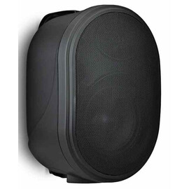 Настенный громкоговоритель Biamp OVO5T-BL Black
