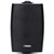 Громкоговоритель настенный  DSPPA DSP6061IIB