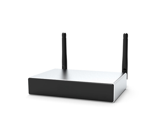 Сетевой аудиоплеер с усилителем  DSPPA DW0235