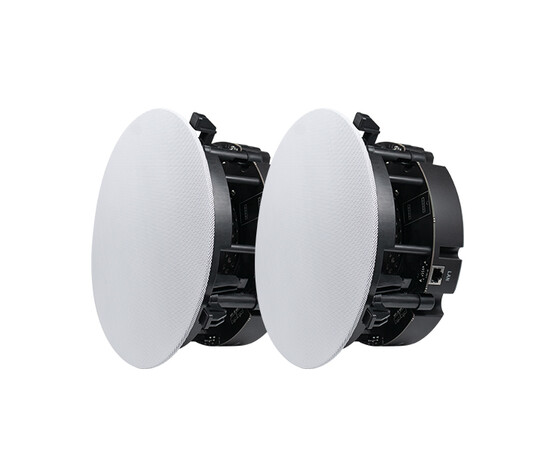 Потолочный громкоговоритель DSPPA DW2235