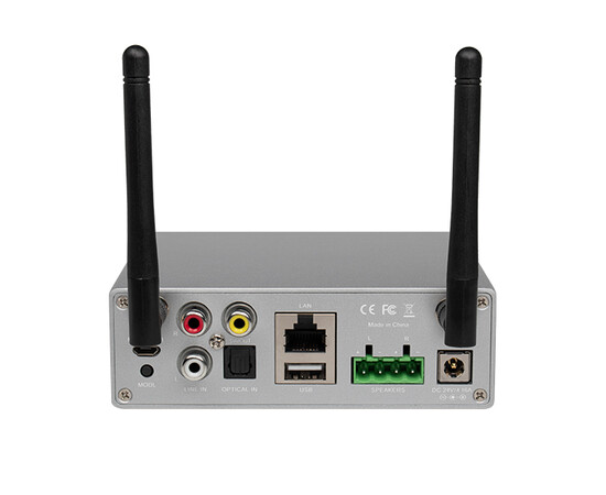 DSPPA DW0250. Усилитель потокового Wi-Fi, изображение 2