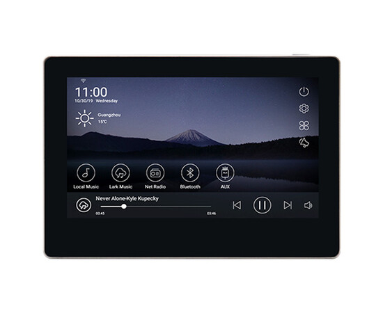 DSPPA DM858G интеллектуальный настенный усилитель