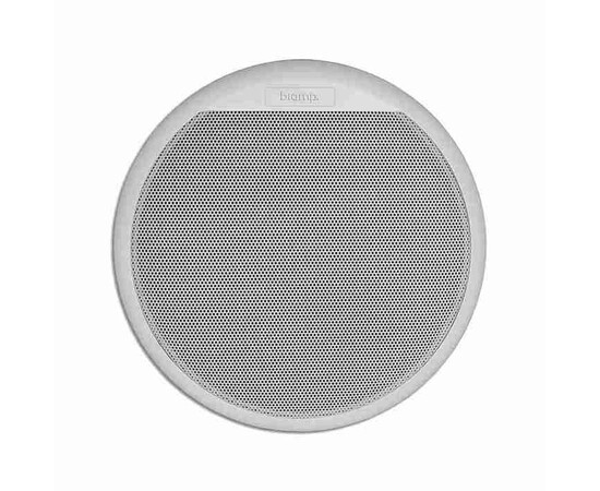 Двухполосный водонепроницаемый потолочный громкоговоритель Biamp CMAR6T-W White