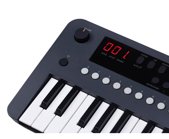 Синтезатор Medeli MK37, изображение 5