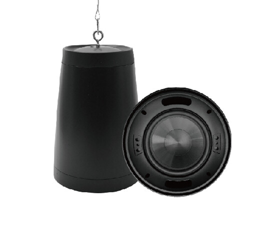 Подвесной сабвуфер DSPPA DSP8050SUB BLACK