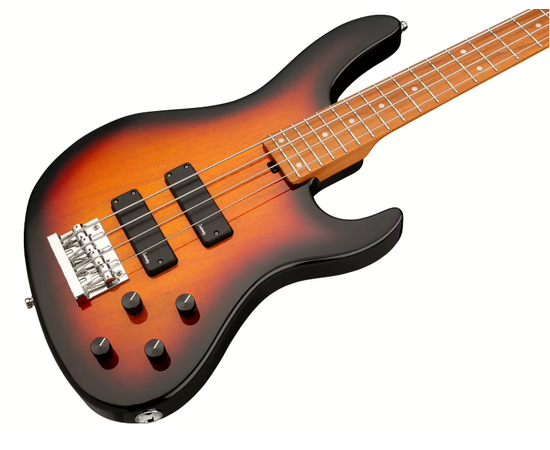 Бас-гитара Sadowsky MetroExpress 24-Fret Modern, изображение 4