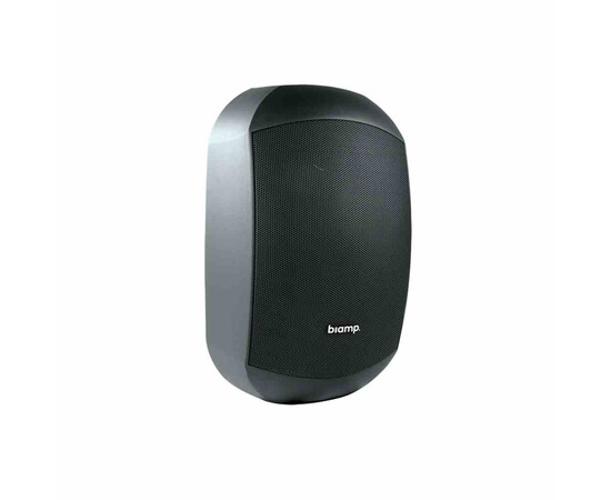 Настенный громкоговоритель Biamp Desono MASK6CT-BL Black