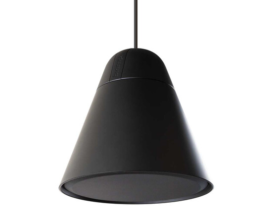 Двухполосный подвесной громкоговоритель Biamp Desono P30DT-BL Black
